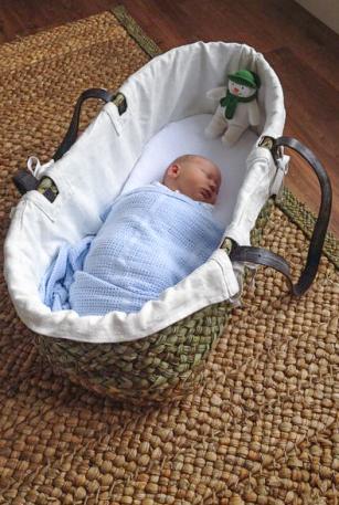 Moses Basket